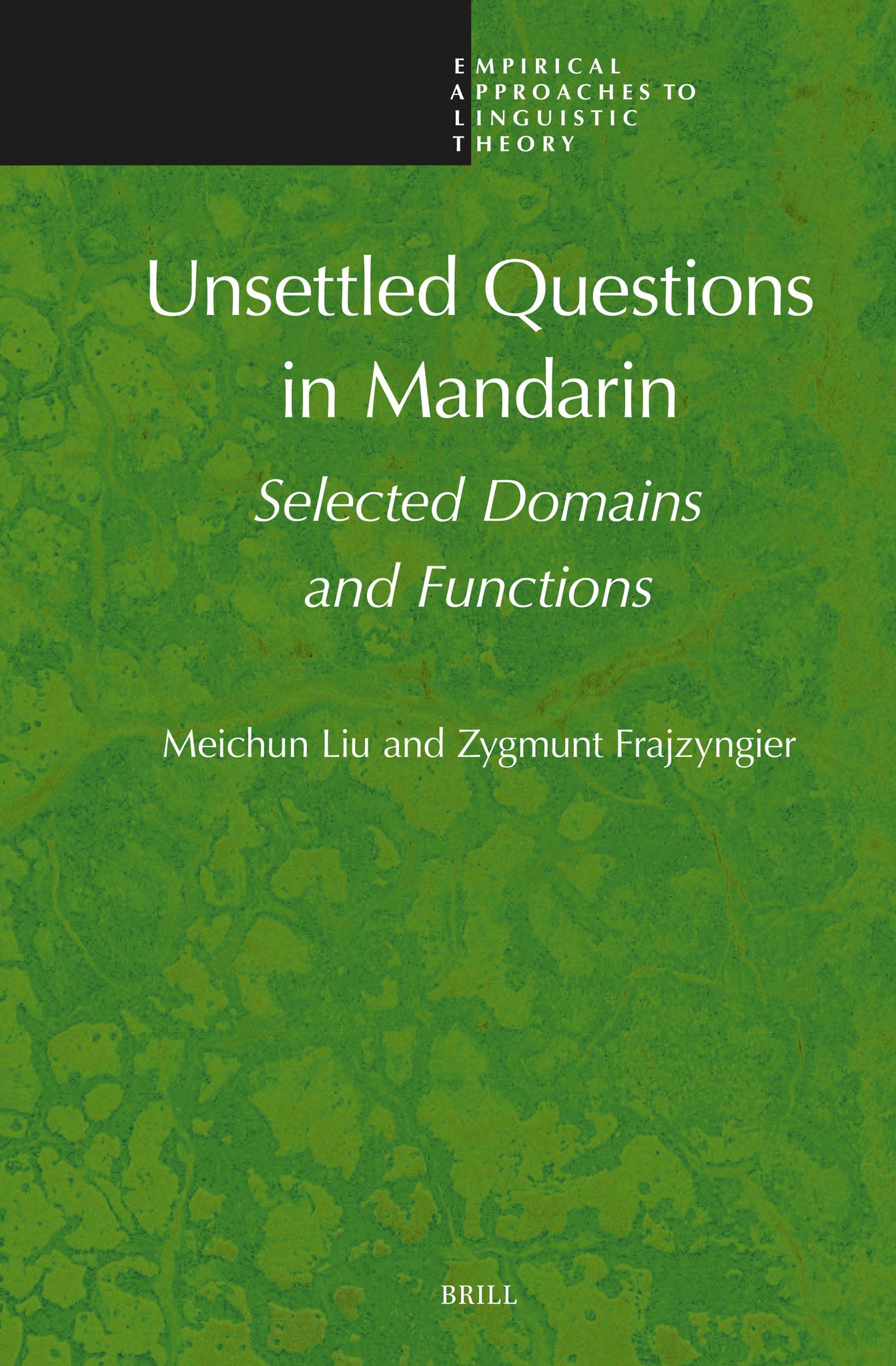 Cover image for Unsettled Questions in Mandarin ISBN 9789004460973